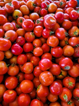 Close-up of fresh, organic tomatoes stacked together, showcasing vibrant red hues and healthy farm produce.