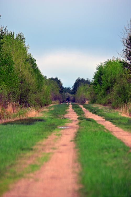 Free stock photo of dirt path, road, trail