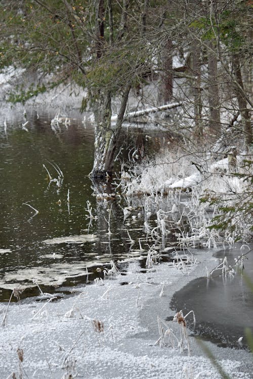 Free stock photo of ice, snow, water