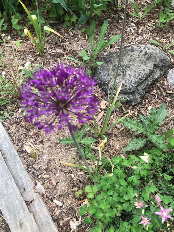 NASA 地球科學衛星艦隊強化計畫如何重塑 2026 年全球氣候監測格局? NASA 地球科學衛星艦隊強化計畫如何重塑 2026 年全球氣候監測格局?