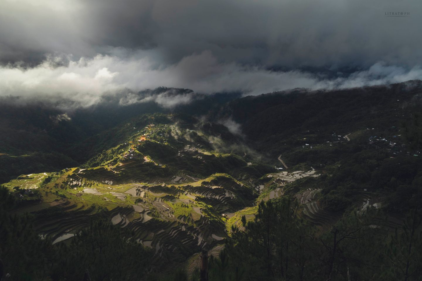 Rijstterrassen die trapsgewijs een berghelling afdalen onder een bewolkte lucht, Bontoc