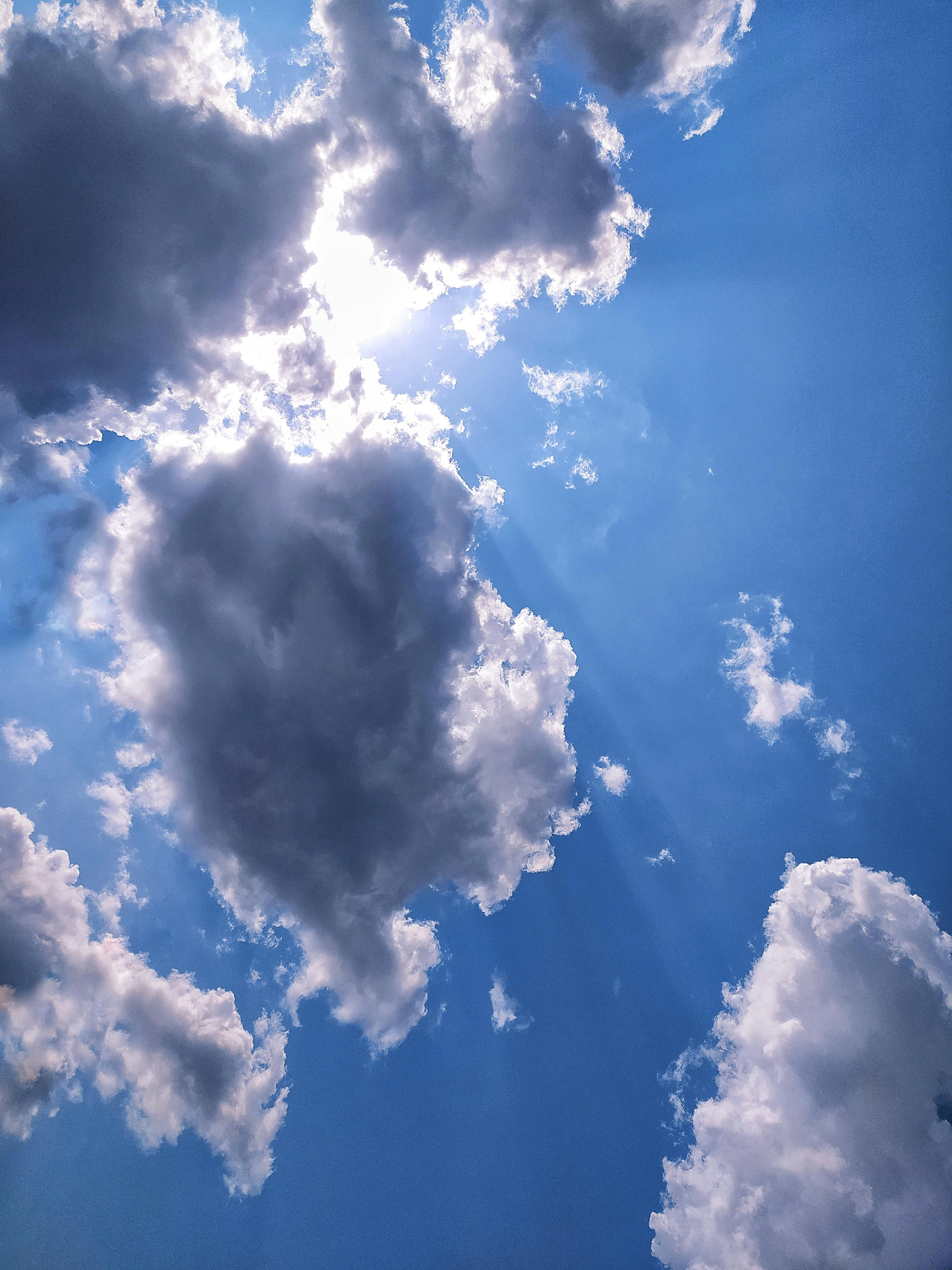 Person looking at their phone and coffee in the morning, considering plans for the day