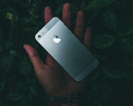 A hand holding a smartphone outdoors against a leafy background, showcasing technology and nature.