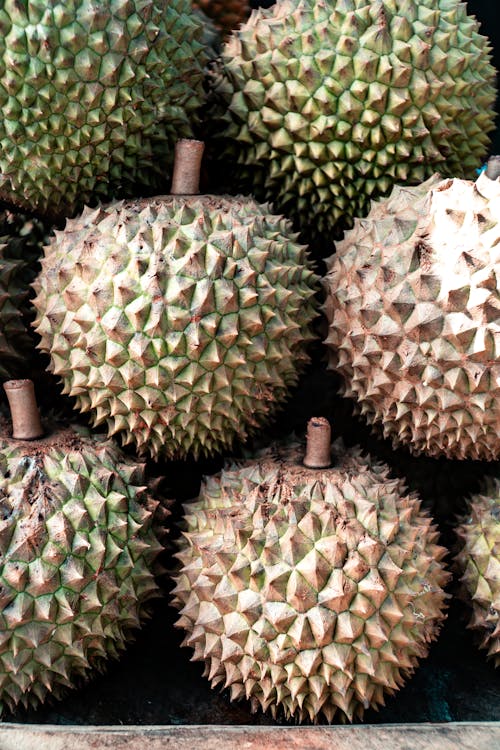 Closeup of heap of fresh durian fruits selling in market during seasonal period