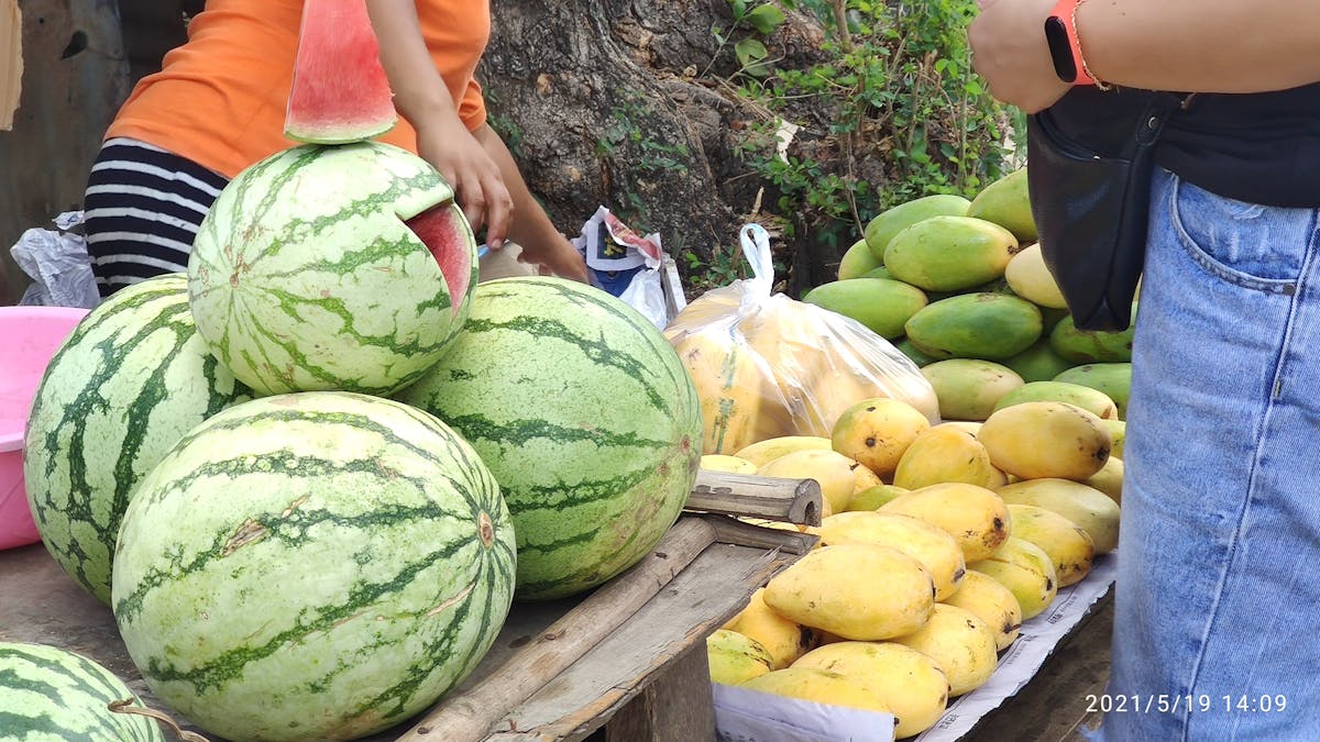 Night sky with stars and zodiac-inspired constellation imagery