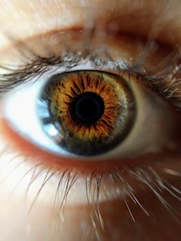 Captivating macro shot of a human eye showcasing intricate details and vibrant colors.
