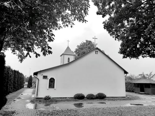 Imagine de stoc gratuită din alb și negru, arbori, biserică