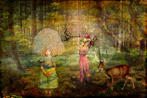 Základová fotografie zdarma na téma digitální umění, les, mystický