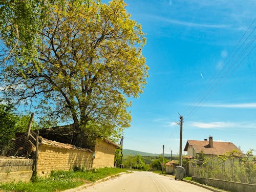 Бесплатное стоковое фото с вечер, грецкий орех, деревня