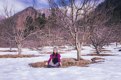 Immagine gratuita di alberi spogli, benessere, coperto di neve