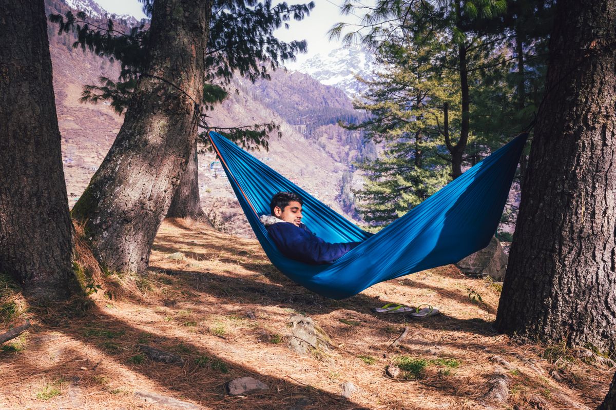 Man in a hammock under tall pine trees