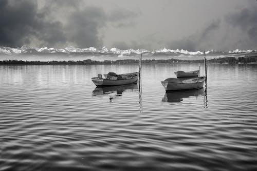 Grayscale Photo of Rowing Boats on the Sea
