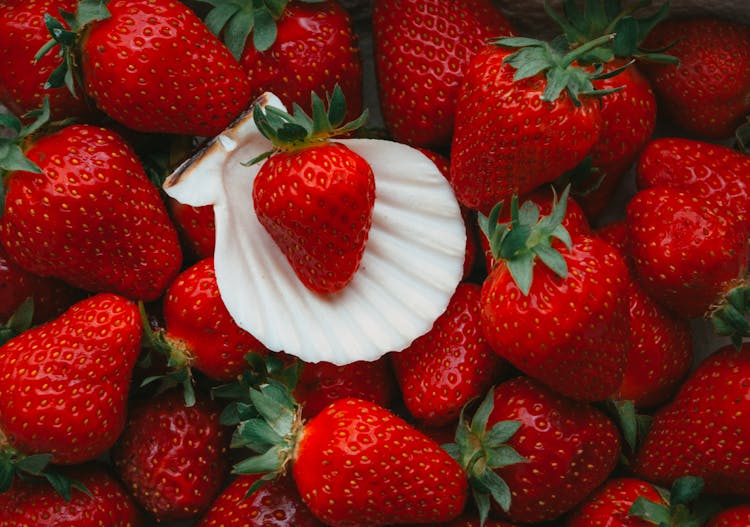 Bivalve Shell On Top Of Strawberries