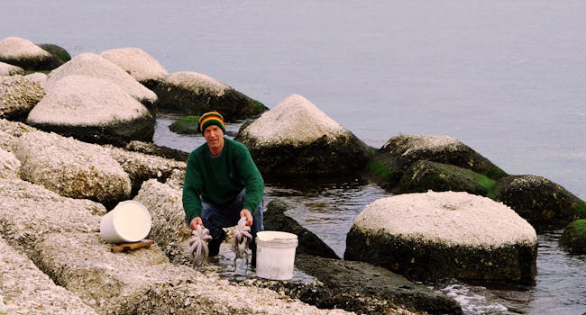 一名戴着彩色无檐帽的男子在岩石海岸附近抱着一只章鱼