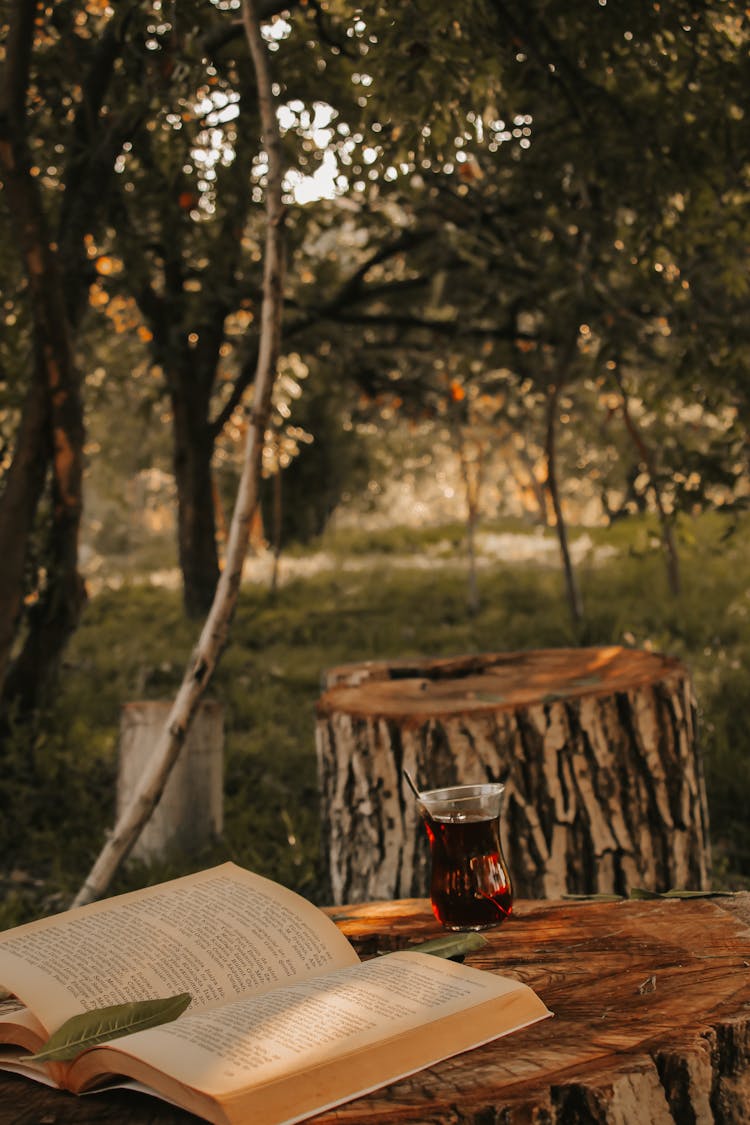 A Glass Red Drink Beside A Book On A Log