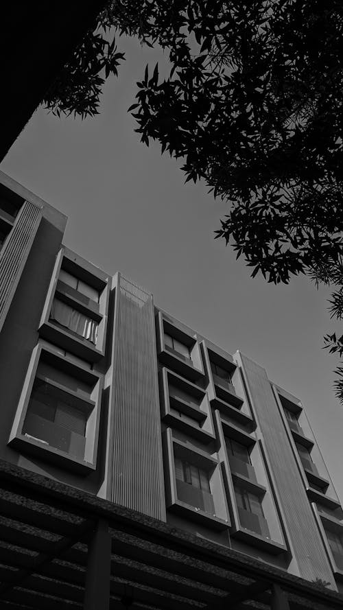 Darmowe zdjęcie z galerii z architektura, budynek, czarny i biały
