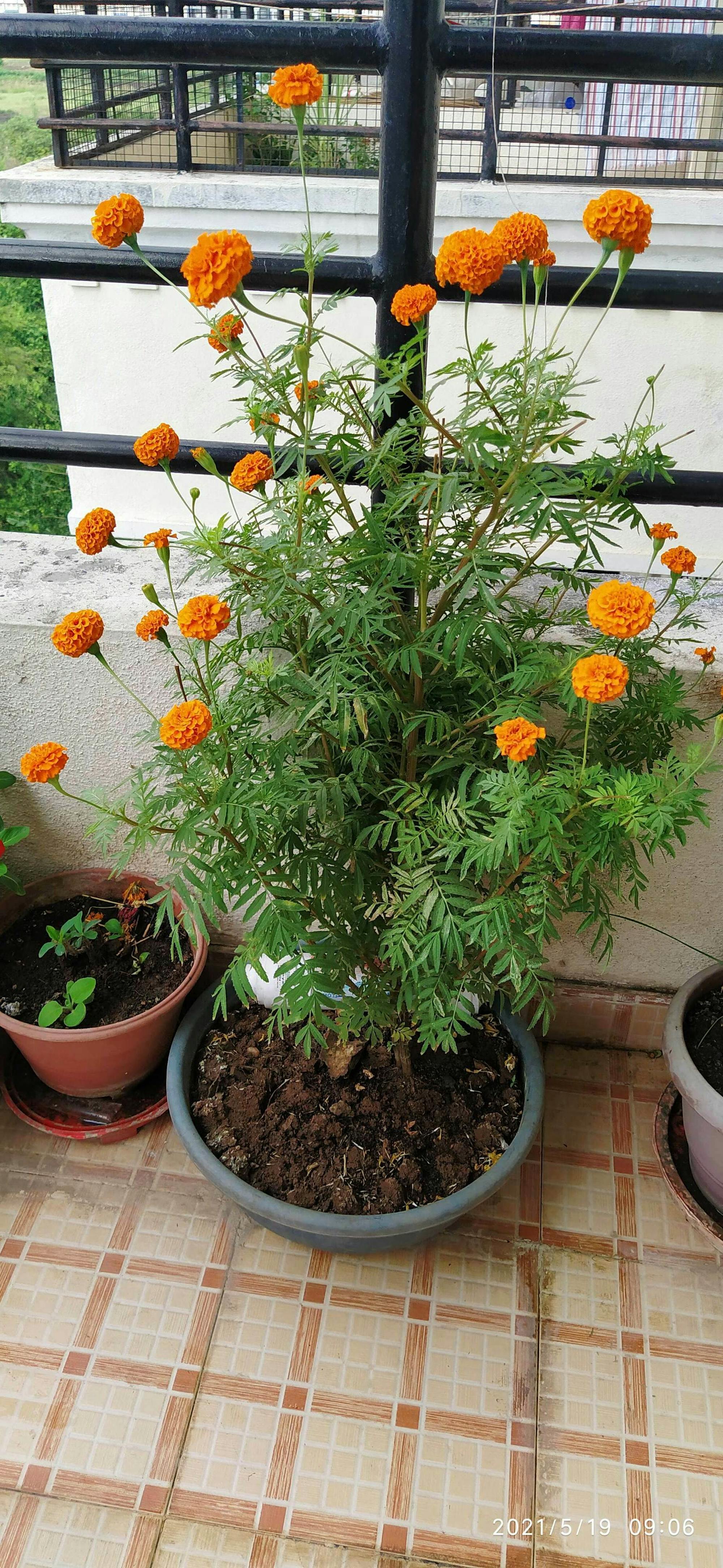 Modern oil storage terminal