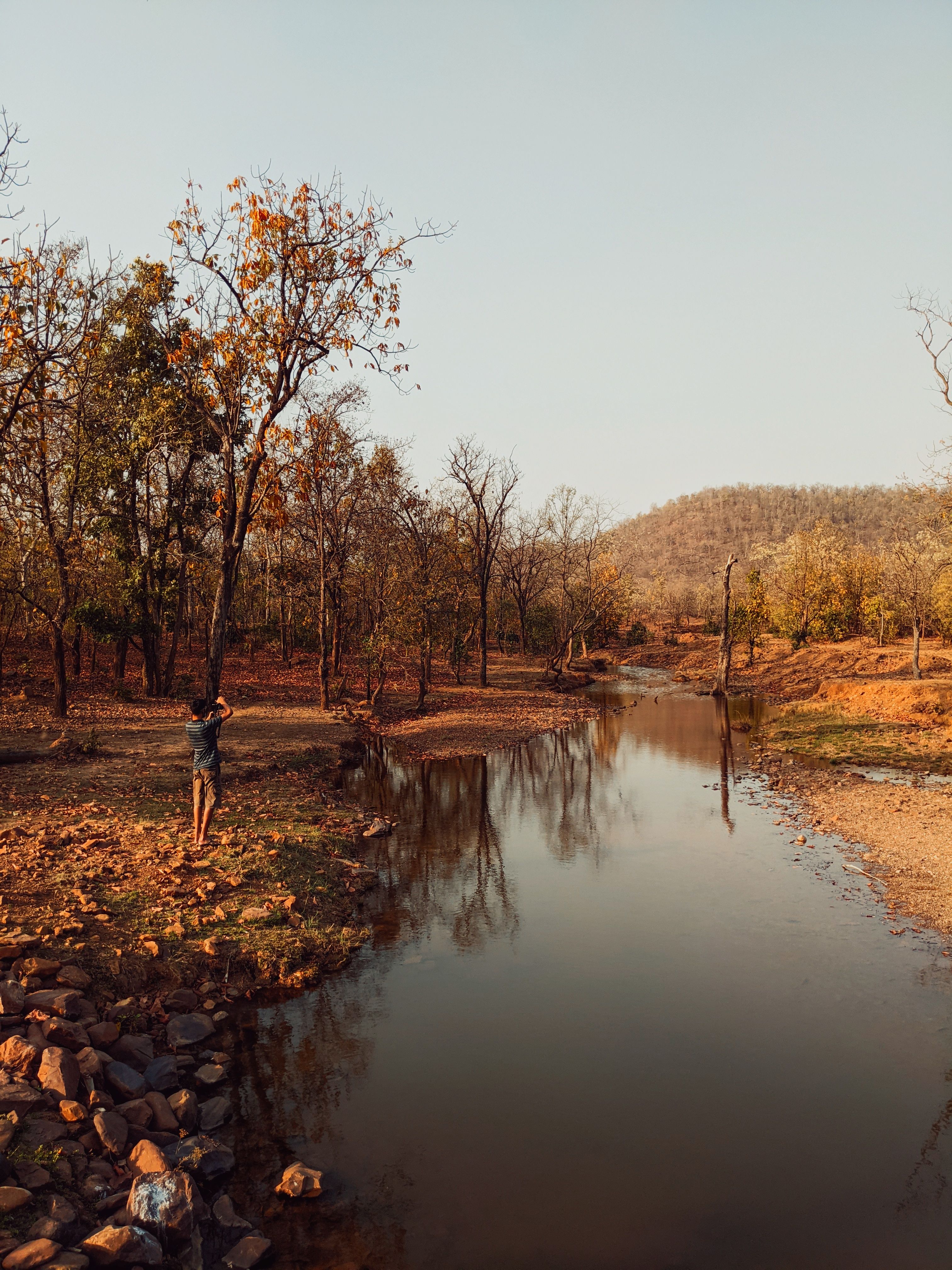 Peaceful autumn scene with trees and a river in Neguwan, India. Captured with warm tones.