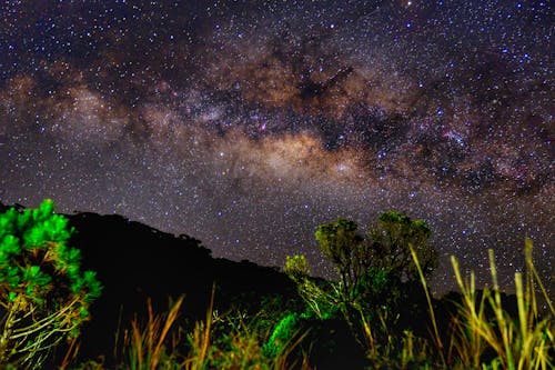 Free Scenic View of a Starry Sky Stock Photo