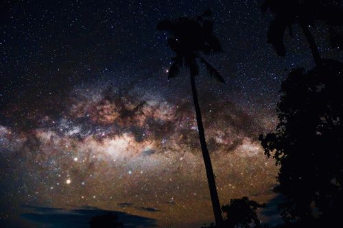 Free Majestic view of the Milky Way against silhouetted palm trees at night. Stock Photo