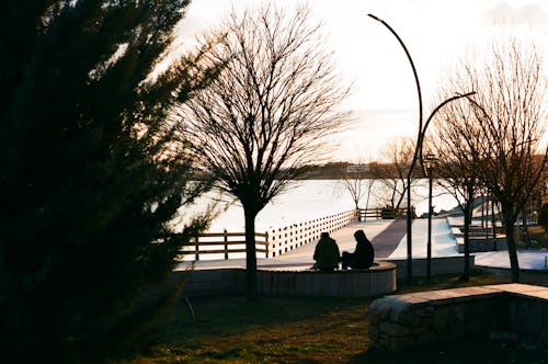 Silhouette of Two People in a Park