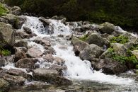 Water Falls in the Middle of Green Trees