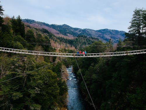 People Standing on Bridge