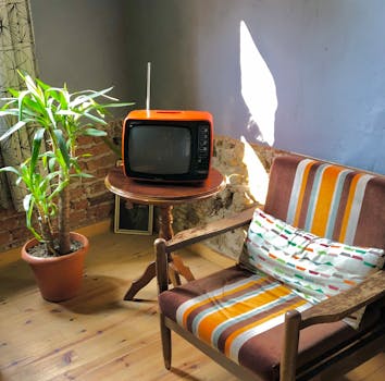 A vintage interior featuring a retro television, wooden chair, and potted plant.