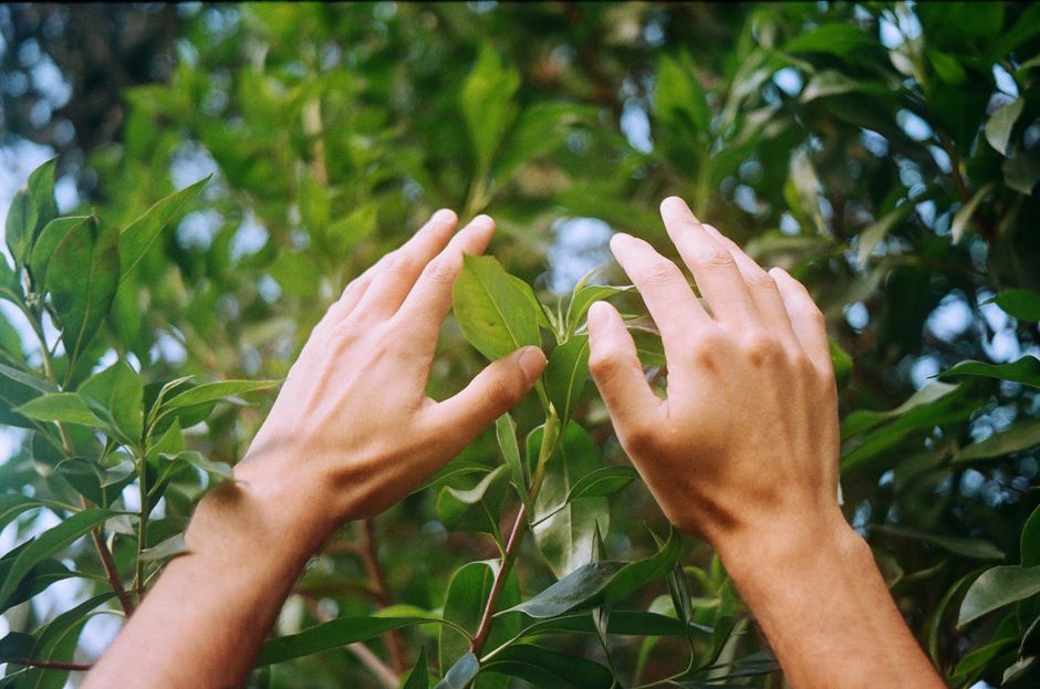 VIDEO. Descoperă Grădina Botanică din Cluj, bijuteria centenară și atracția numărul 1 pe TripAdvisor!