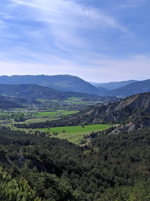 A Nature Photography of Green Trees  Near Green Grass and Mountains