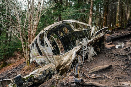Free A Total Wrecked Aircraft in the Forest Stock Photo