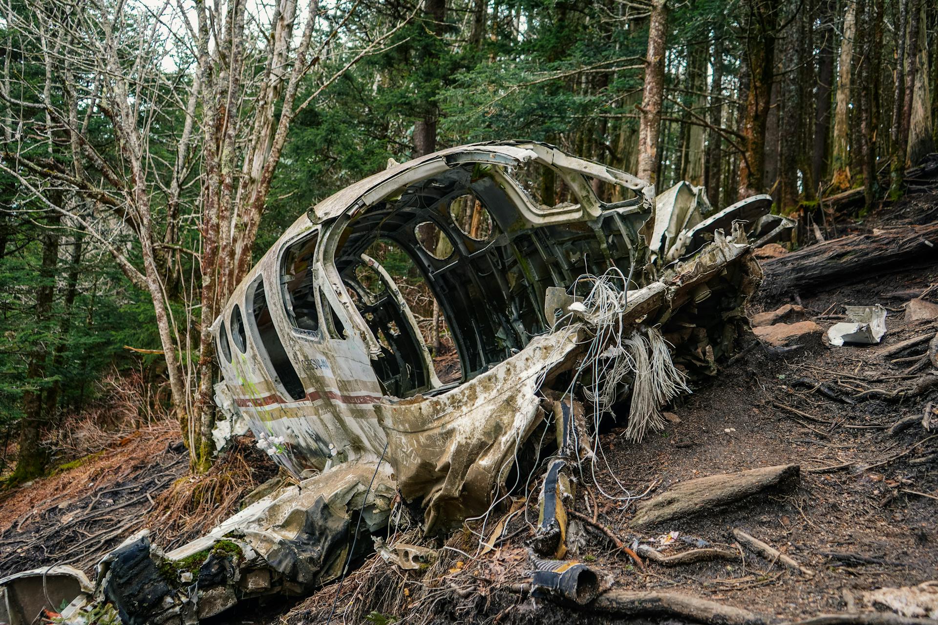 A Total Wrecked Aircraft in the Forest