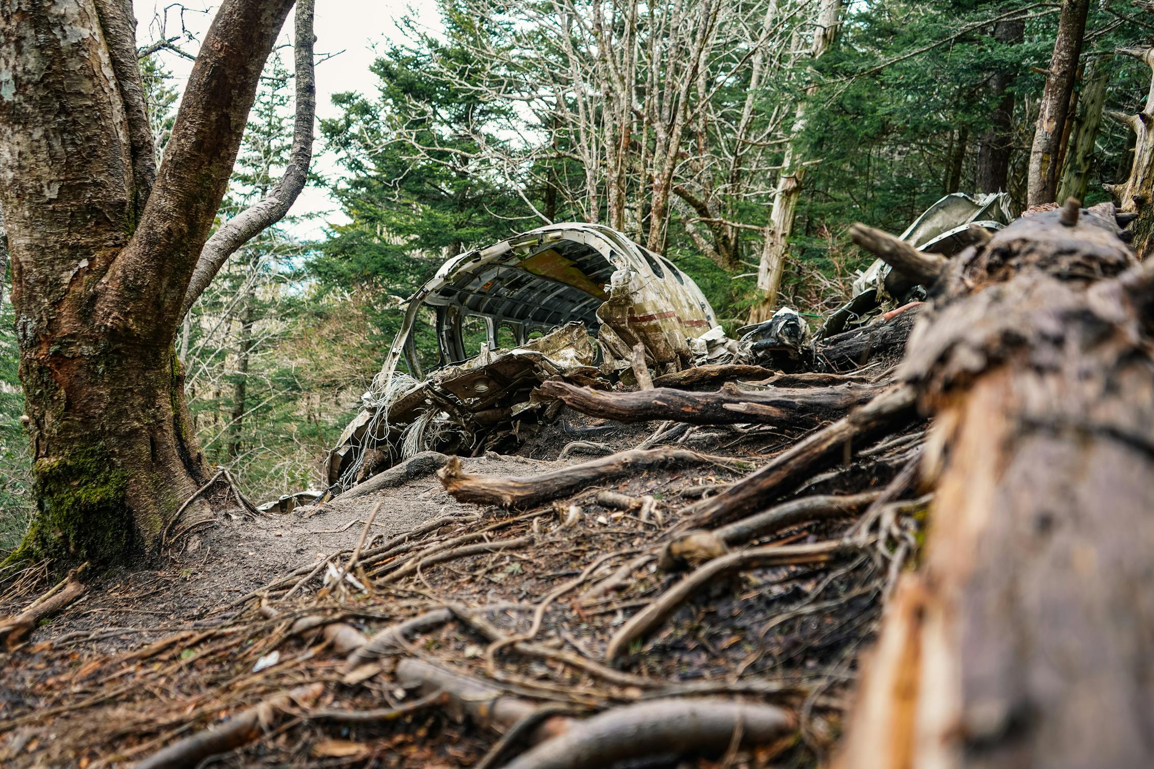 Restos de un avión en llamas en zona industrial - Imagen ilustrativa libre de derechos