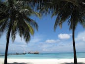 探索马尔代夫的天堂般田园风光，这里有原始的海滩、蔚蓝的海水和摇曳的椰子树