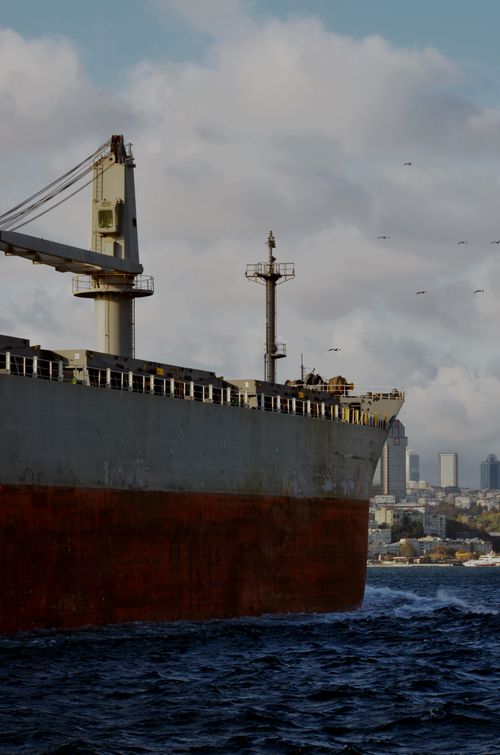 Free A large cargo ship sails close to a city skyline on a cloudy day, with seagulls flying overhead. Stock Photo