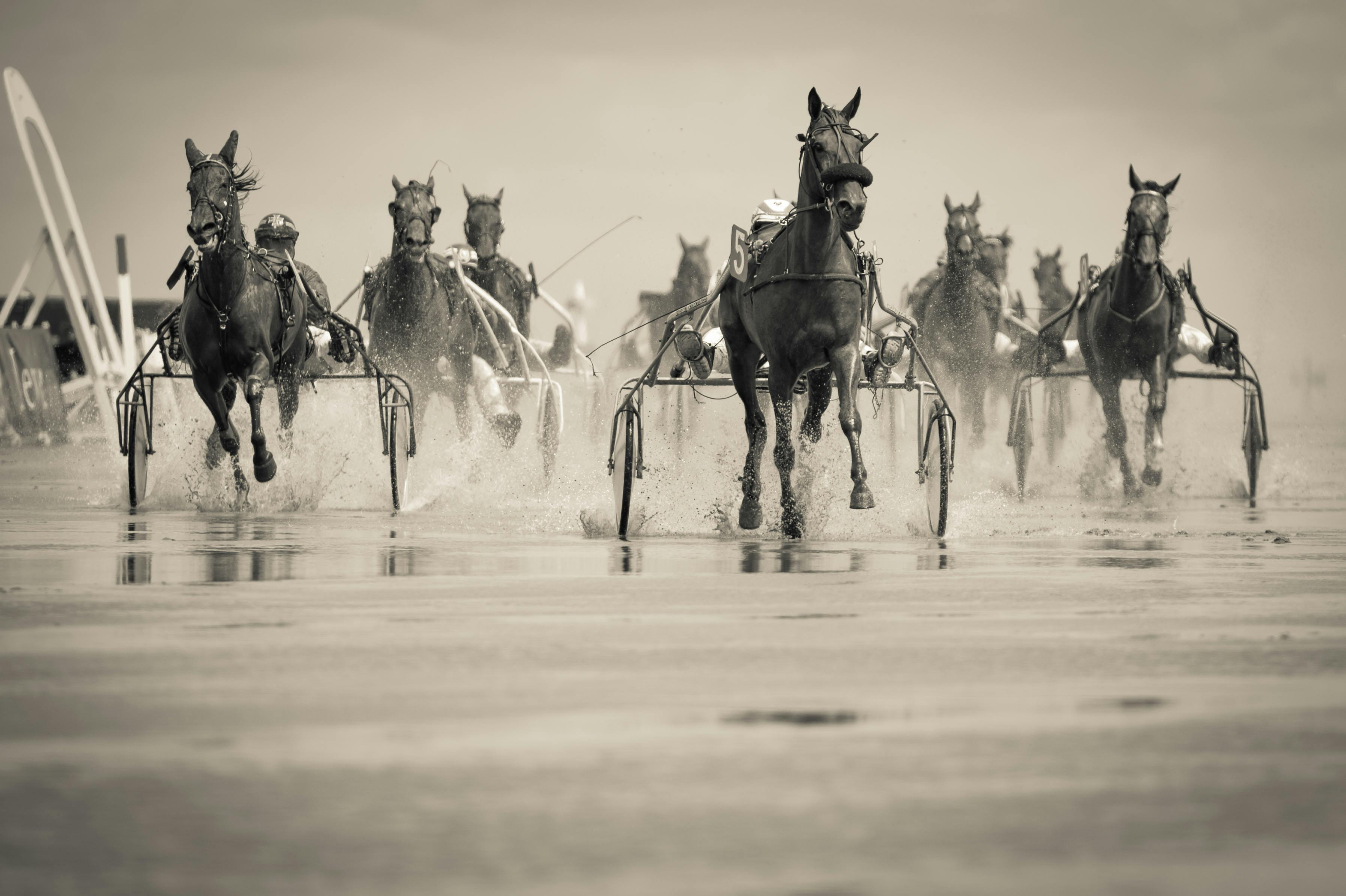 Running Horses Wallpaper 63 images