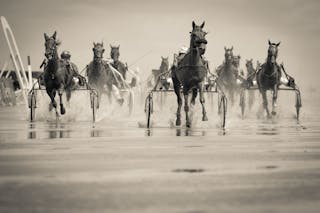 Grayscale Photo of Group of Horse With Carriage Running on Body of Water