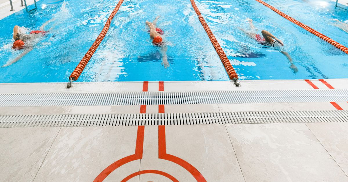 Three athletes swimming freestyle in a bright indoor pool.