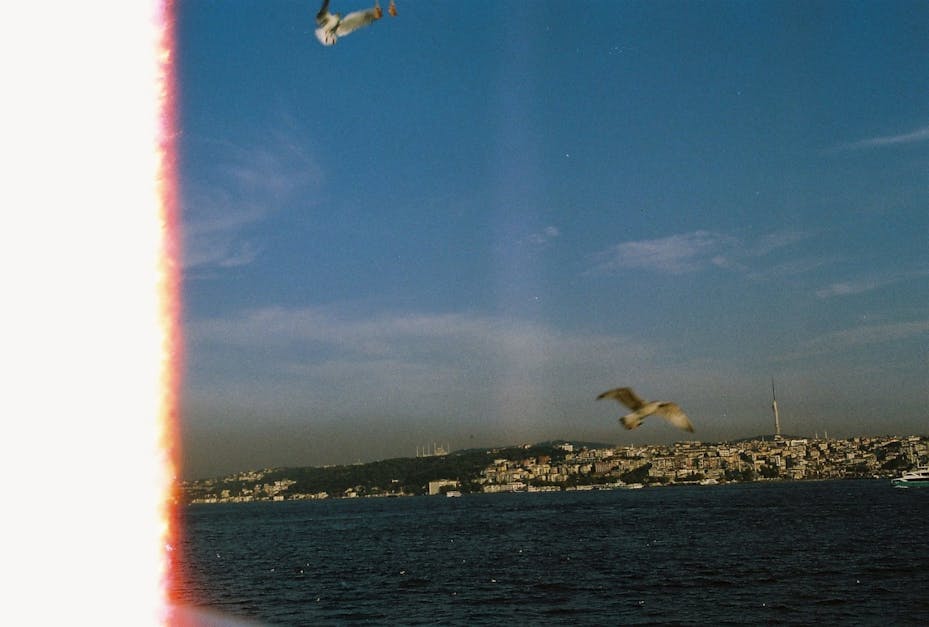 Ways to achieve an Oscar for acting in 2025