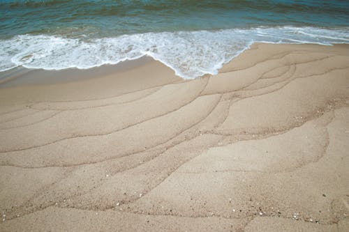 Waves Crashing on the Shore 