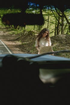 A woman stands hitchhiking on a forest road with a cardboard sign, seen from a car.