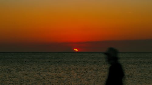 Základová fotografie zdarma na téma moře, oranžová obloha, osoba