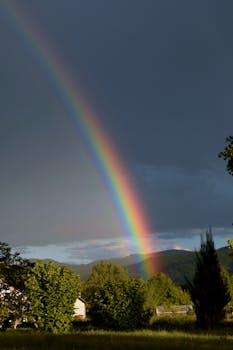 Captivating rainbow arches over lush greenery against a dramatic gray sky, symbolizing hope and beauty.
