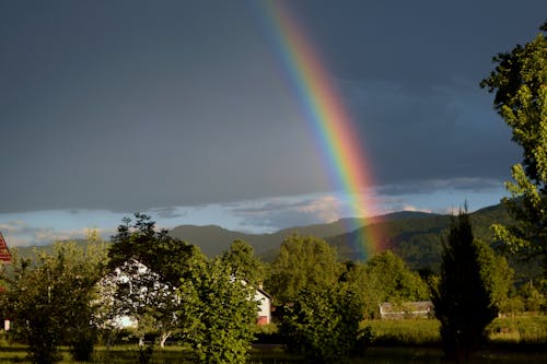 A Rainbow Over Buildings and Trees