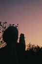 Silhouette of a Person Pointing in the Sky