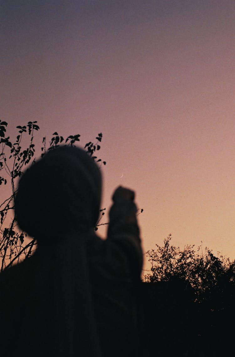 Silhouette Of A Person Pointing In The Sky