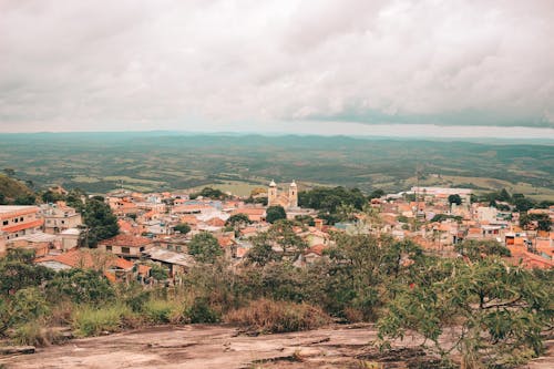 Vista Aérea De árvores E Casas