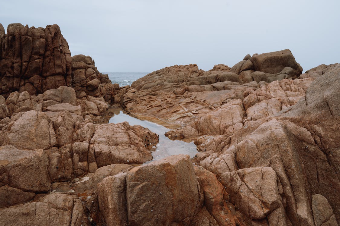 Immagine gratuita di acqua, alba, arenaria