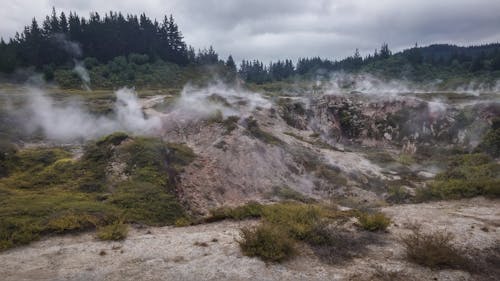 Erbe Verdi Con Fumo E Alberi Verdi