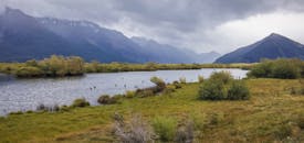 在平静的湖面和多云的天空下，山区景观宁静，还有几只鸭子